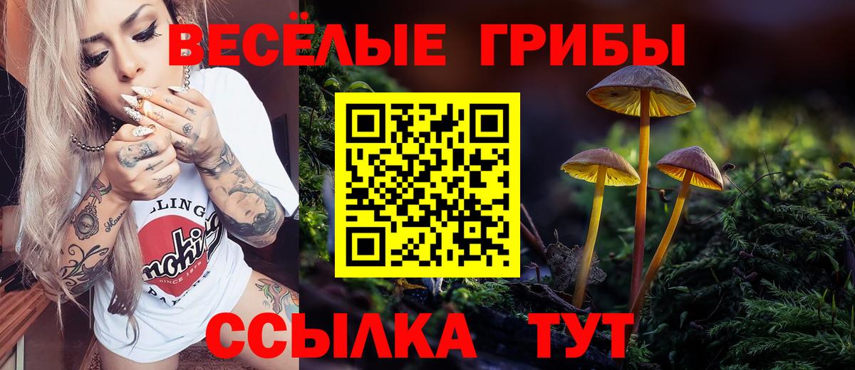 Слободской  купить наркотик  Вход с VPN  Галлюциногенные грибы Psilocybine cubensis  Галлюциногенные грибы MAGIC MUSHROOMS 